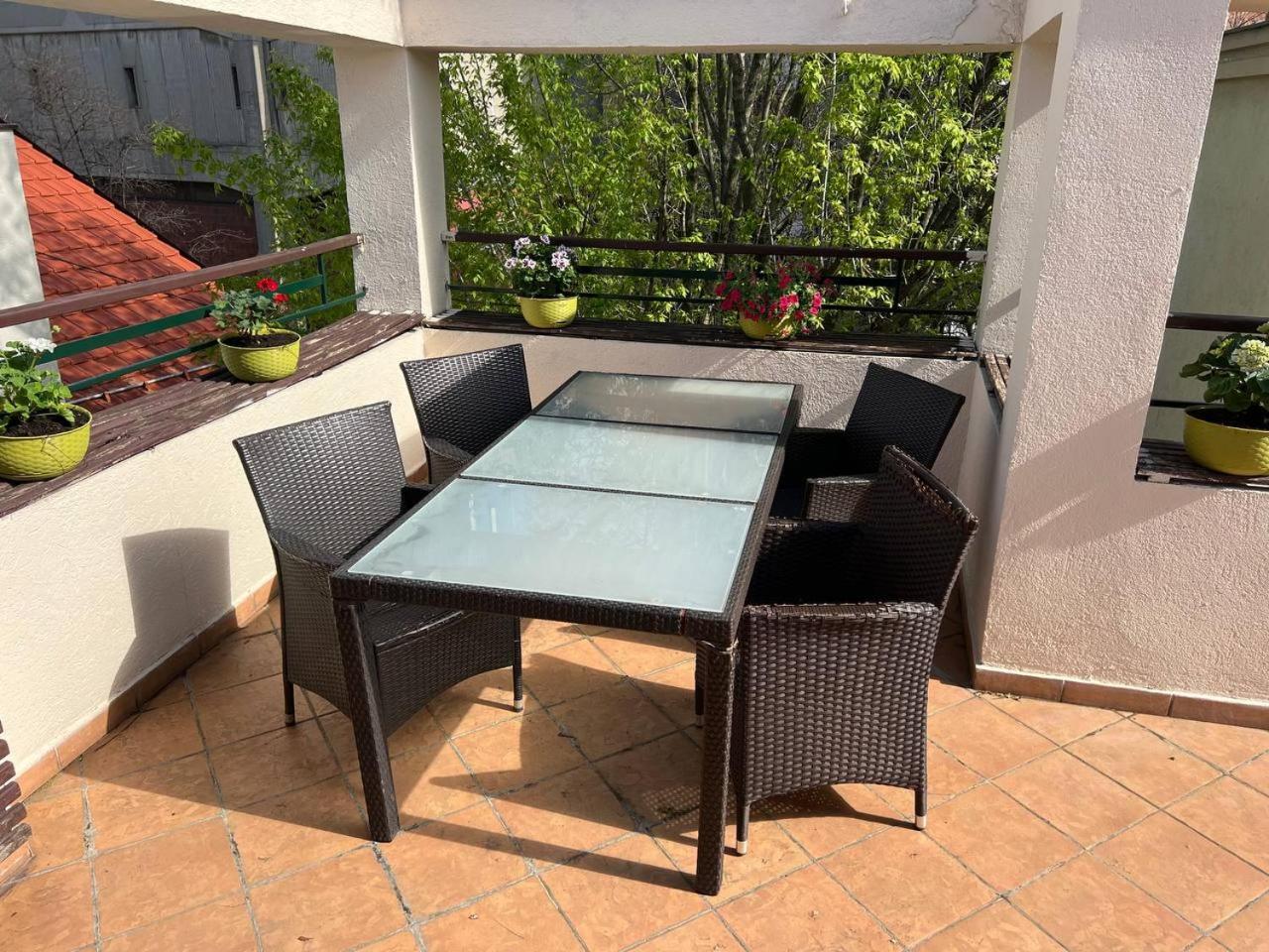 בלגרד Cabbage Hostel מראה חיצוני תמונה