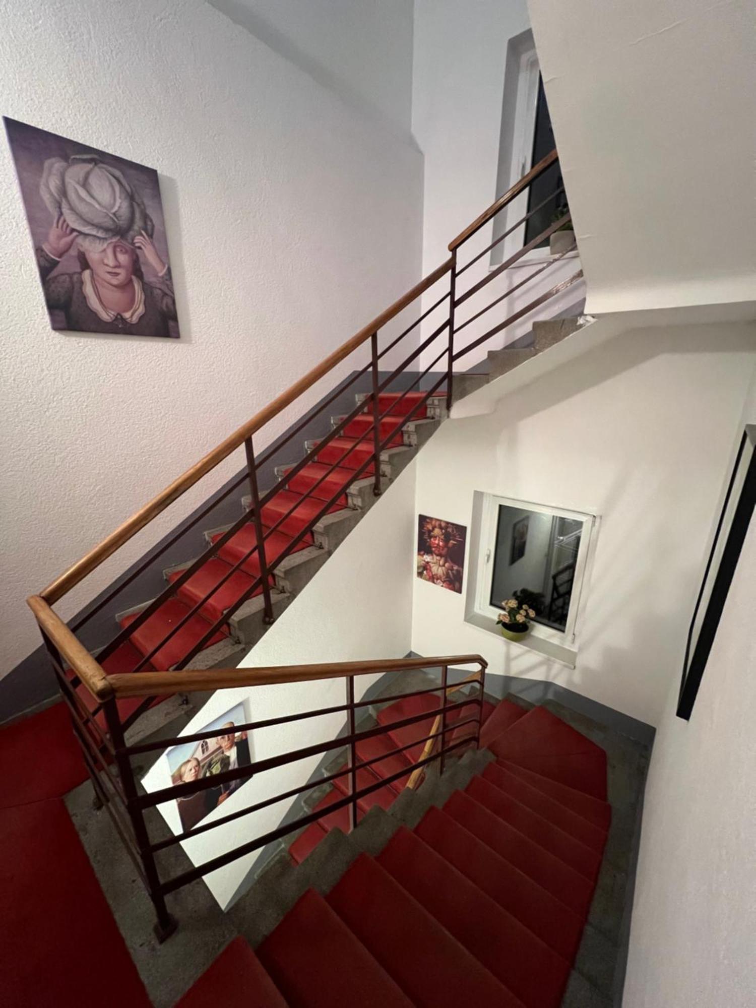 בלגרד Cabbage Hostel מראה חיצוני תמונה