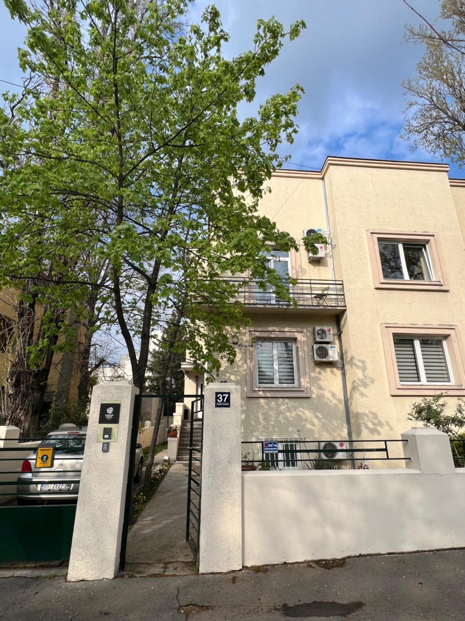 בלגרד Cabbage Hostel מראה חיצוני תמונה